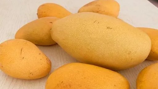 芒果乱码一二三四区别