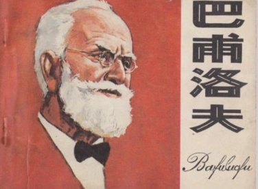 巴甫洛夫很忙 全文