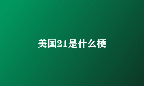 美国21是什么梗