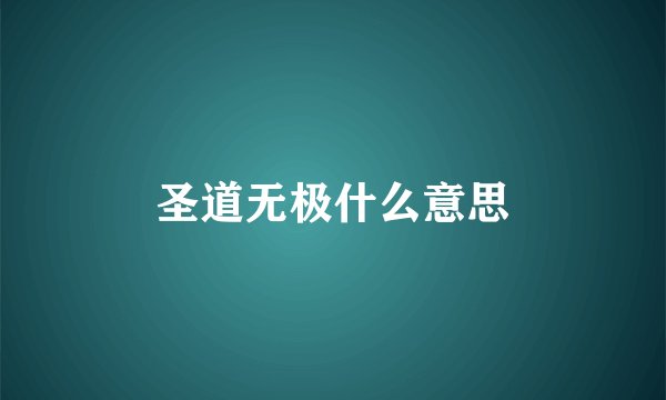 圣道无极什么意思