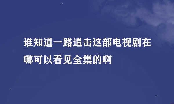 谁知道一路追击这部电视剧在哪可以看见全集的啊