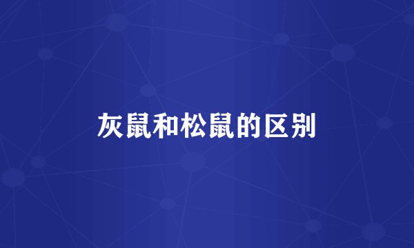 灰鼠和松鼠的区别