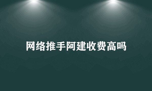 网络推手阿建收费高吗