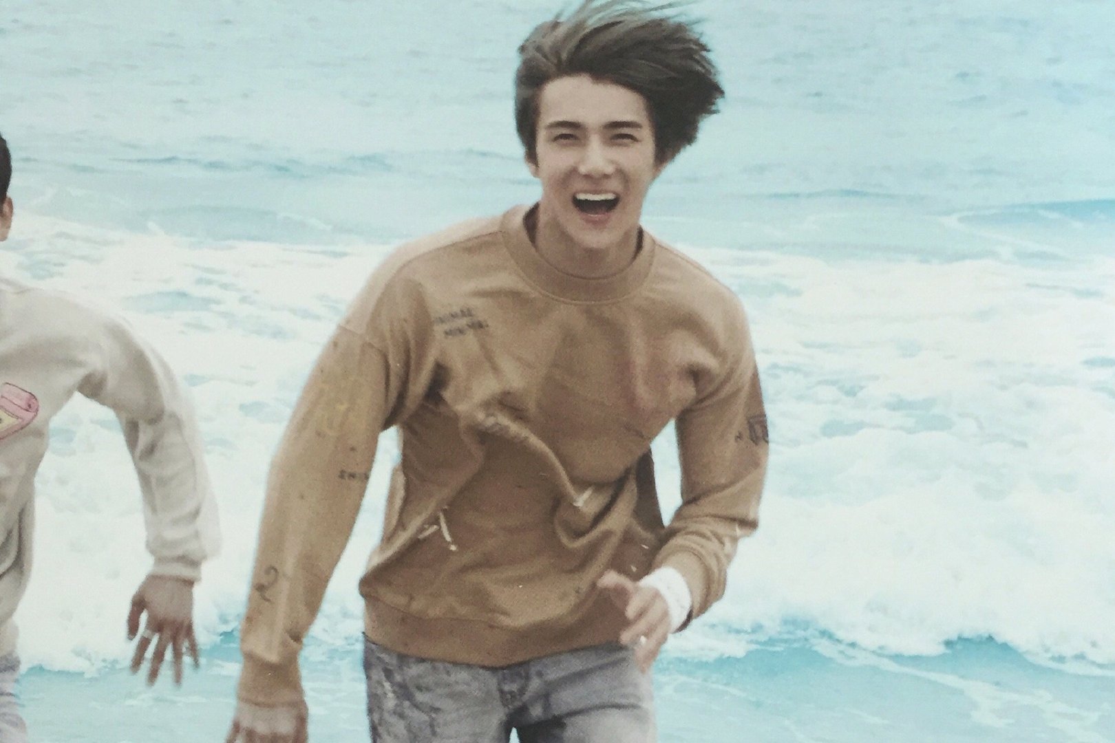 《我爱喵星人》开播，在哪里可以观看？