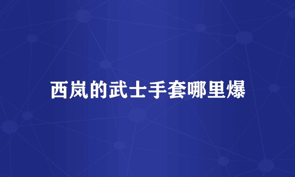 西岚的武士手套哪里爆