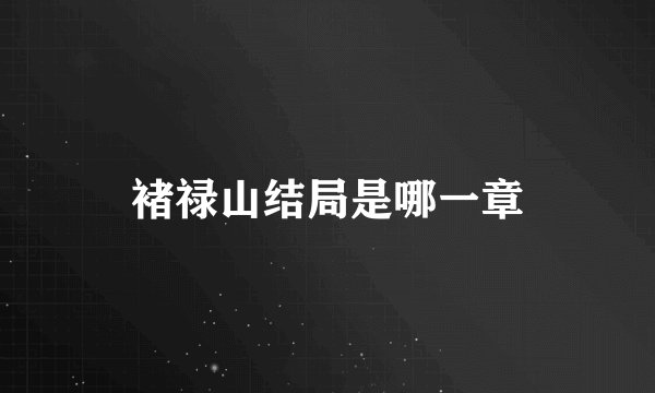 褚禄山结局是哪一章