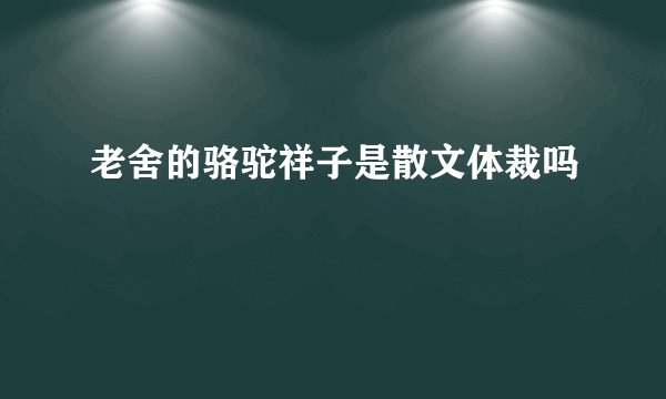 老舍的骆驼祥子是散文体裁吗