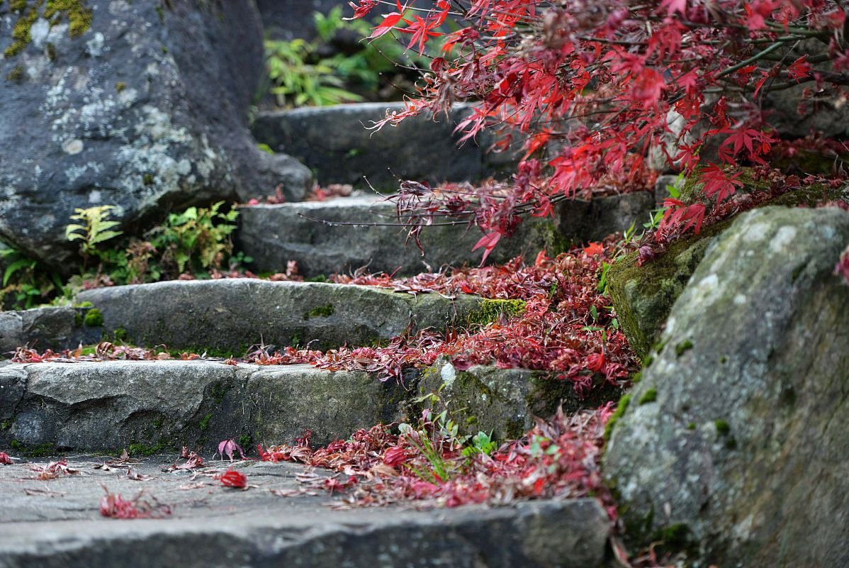 岁月无情催人老，下联是什么？