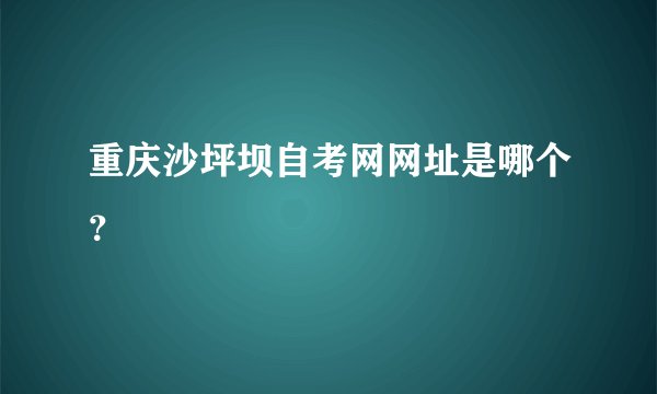 重庆沙坪坝自考网网址是哪个？