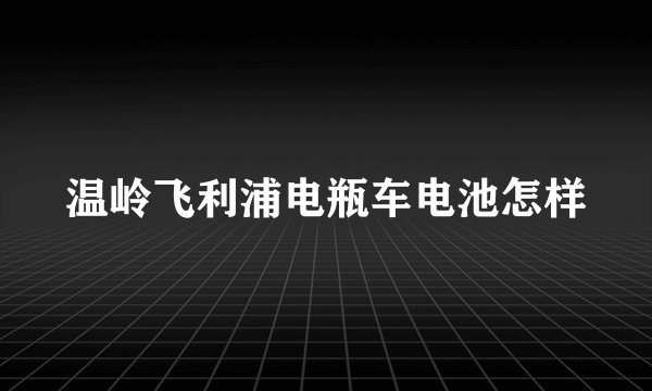 温岭飞利浦电瓶车电池怎样