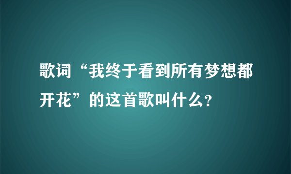 歌词“我终于看到所有梦想都开花”的这首歌叫什么？