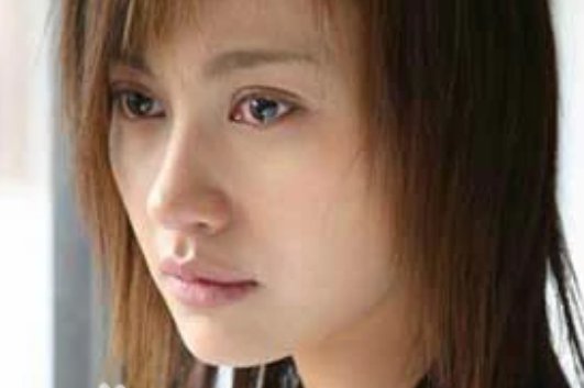 蝴蝶飞飞演员表介绍