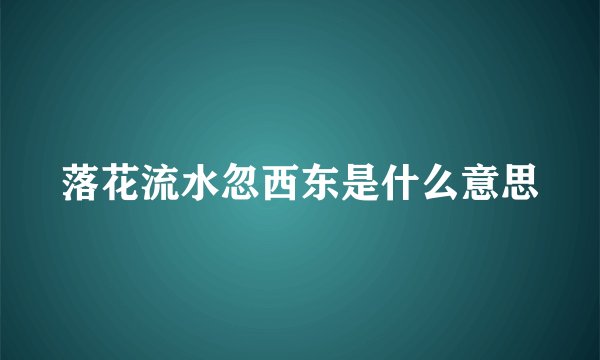 落花流水忽西东是什么意思