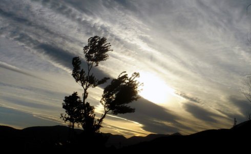 在二十岁的时候就参透生死，是种什么样的体验？