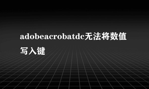 adobeacrobatdc无法将数值写入键