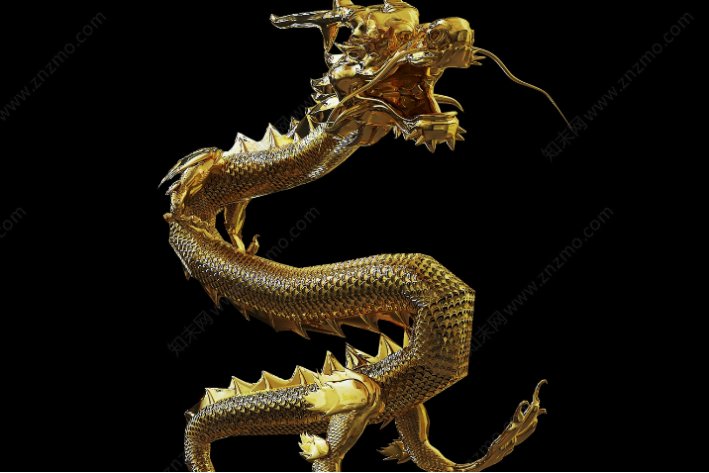 泛舟五湖打一正确动物