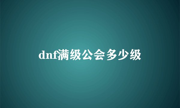dnf满级公会多少级