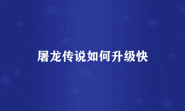 屠龙传说如何升级快