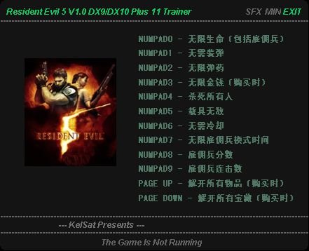 《生化危机5》DX9/10 通用V1.0版11项属性修改器怎么用？