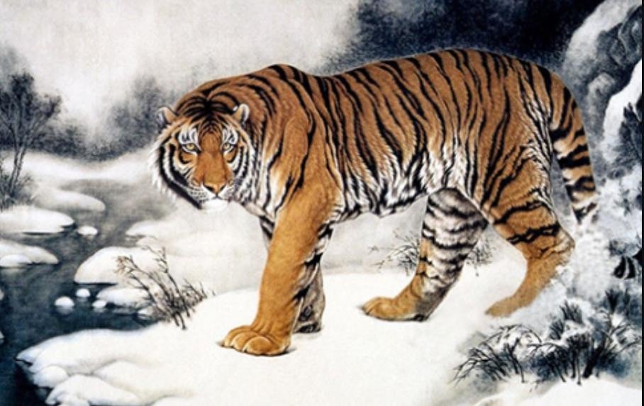 龙血玄黄代表什么生肖