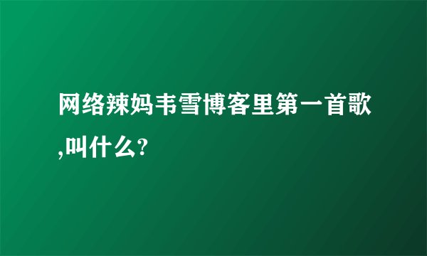 网络辣妈韦雪博客里第一首歌,叫什么?