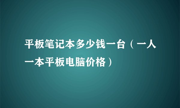 平板笔记本多少钱一台（一人一本平板电脑价格）