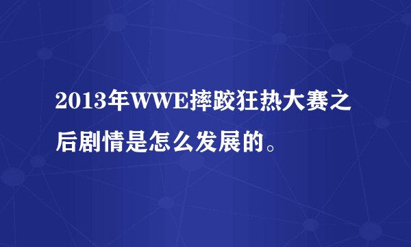 2013年WWE摔跤狂热大赛之后剧情是怎么发展的。