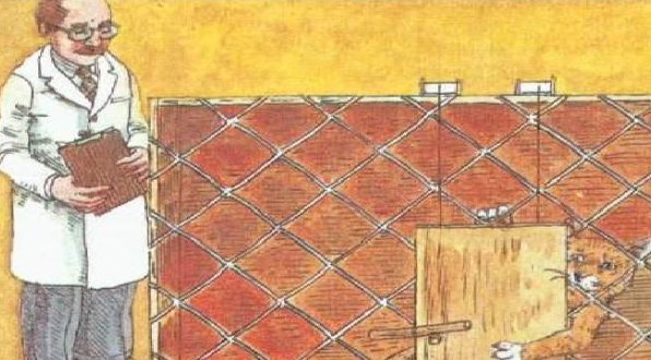 简述尝试错误的含义及尝试的类型