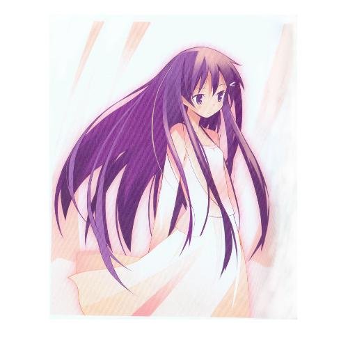 仰望半月之空的介绍