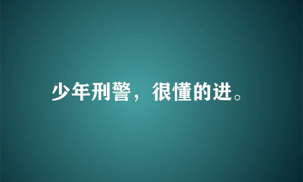 少年刑警，很懂的进。