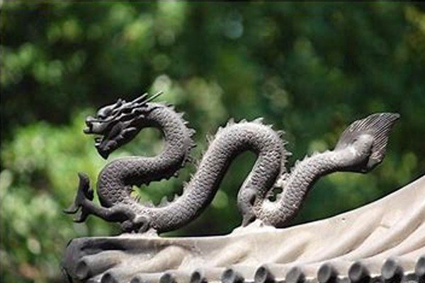 耳目心腹指什么生肖动物