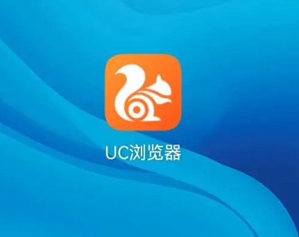 什么浏览器不被网站限制？