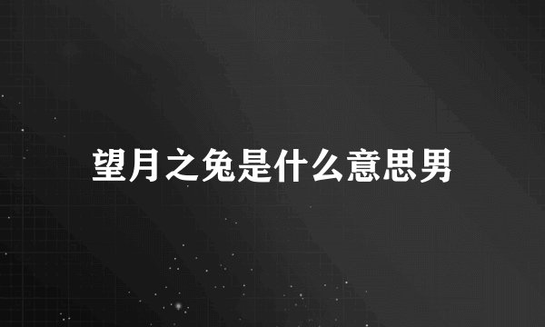 望月之兔是什么意思男