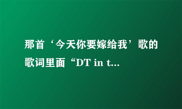 那首‘今天你要嫁给我’歌的歌词里面“DT in the house”里的DT是什么意思啊？