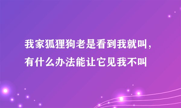 我家狐狸狗老是看到我就叫，有什么办法能让它见我不叫