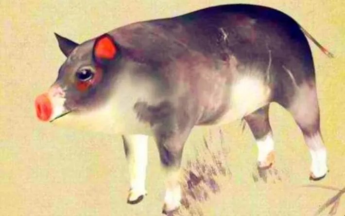 入地为安打一生肖