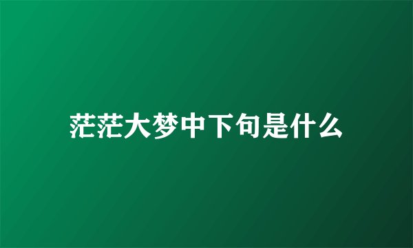 茫茫大梦中下句是什么