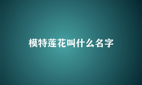 模特莲花叫什么名字
