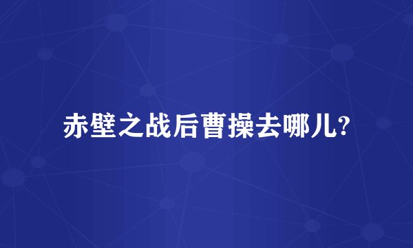 赤壁之战后曹操去哪儿?