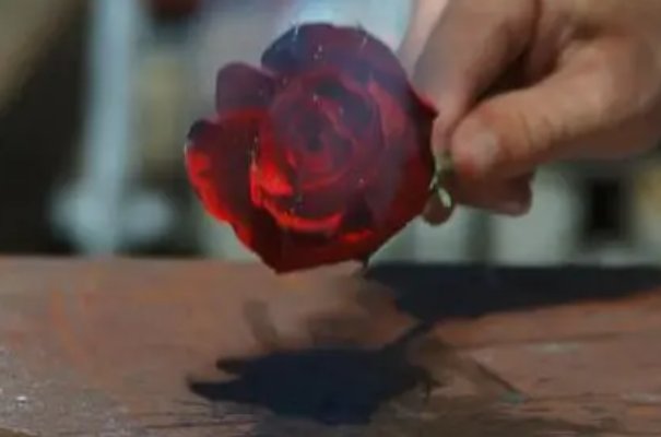 辣手摧花是啥意思