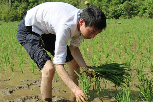 湘西农村男青年“脱单难”报告发布背后，折射出了农村的哪些问题？