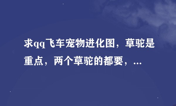 求qq飞车宠物进化图，草驼是重点，两个草驼的都要，其他的略带就好