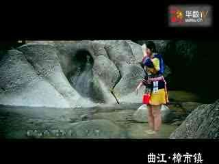 东奔西游的创作阐述