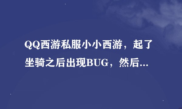 QQ西游私服小小西游，起了坐骑之后出现BUG，然后游戏客户端就不能显示一区二区，重启，重新下载还是不行？