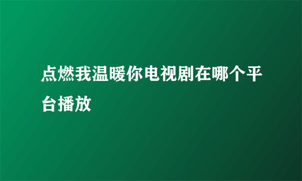 点燃我温暖你电视剧在哪个平台播放