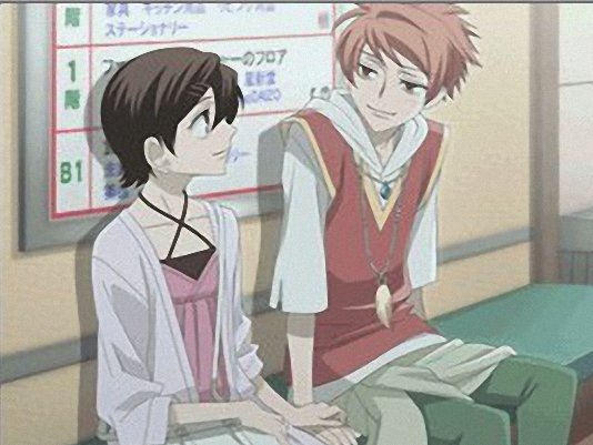 樱兰高校男公关部DS的结局