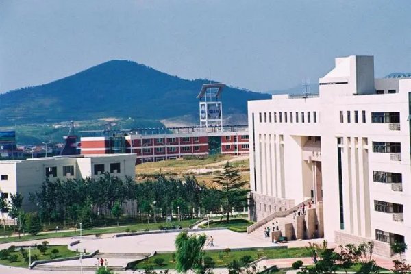 泰山学院专科最低分数线