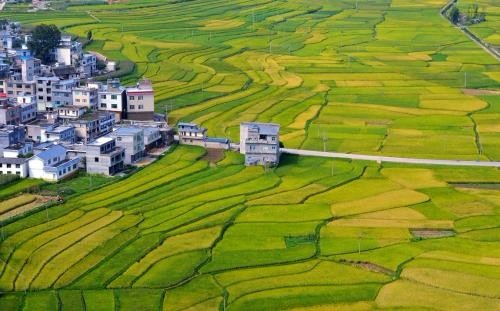 半亩的拼音是什么