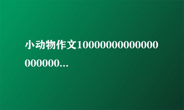 小动物作文100000000000000000000000字