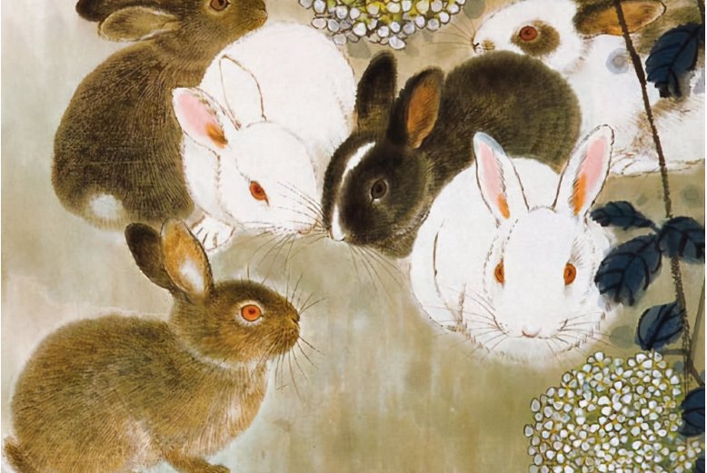 蓝天绿地鸟儿飞准确生肖